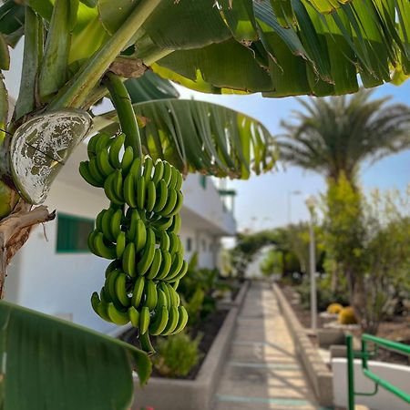 Beautiful Apartment Aguycan Beach 120 Playa Del Aguila ماسبالوماس المظهر الخارجي الصورة