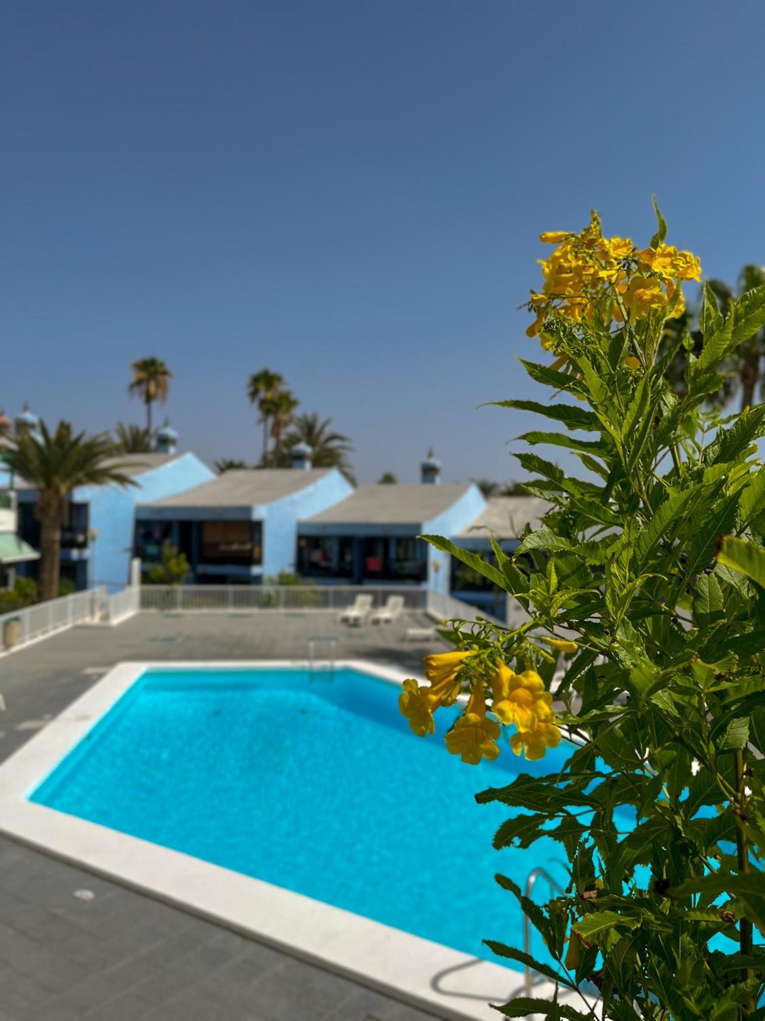 Beautiful Apartment Aguycan Beach 120 Playa Del Aguila ماسبالوماس المظهر الخارجي الصورة