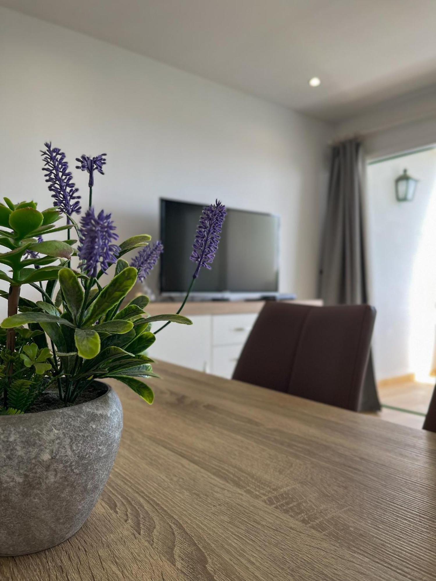 Beautiful Apartment Aguycan Beach 120 Playa Del Aguila ماسبالوماس المظهر الخارجي الصورة